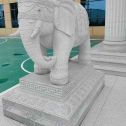 承德 白麻花岗岩动物异形石雕-大象